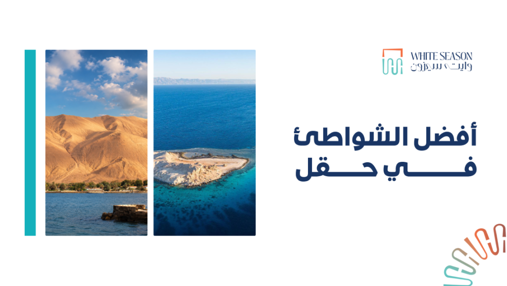 شواطئ حقل