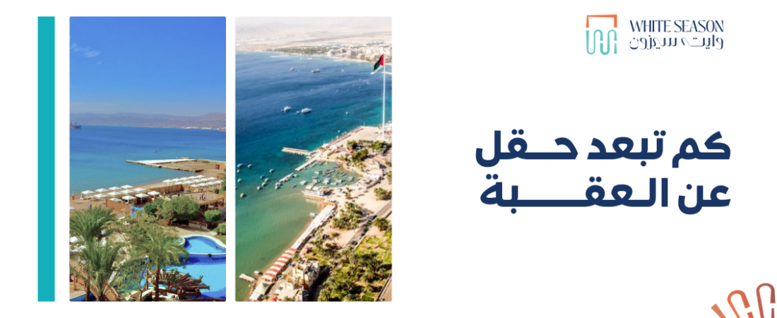 المسافة بين حقل والعقبة: 5 معلومات مذهلة عن أقصر طريق ومدة السفر